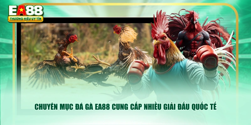 Chuyên mục đá gà EA88 cung cấp nhiều giải đấu quốc tế